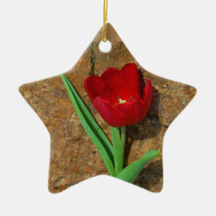 Roter und Gelber Tulip Keramikornament
