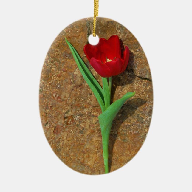 Roter und Gelber Tulip Keramikornament (Vorne)