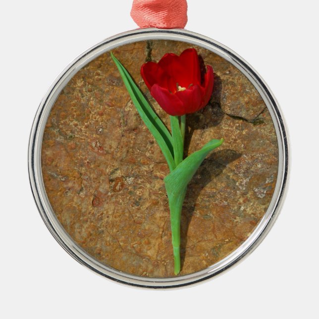 Roter und Gelber Tulip Silbernes Ornament (Vorne)