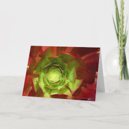 Roter und grüner Succulent durch Amy Vangsgard Karte