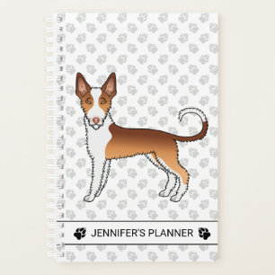 Roter und Weißer Drahthaariger Ibizan Hound Hund & Planer