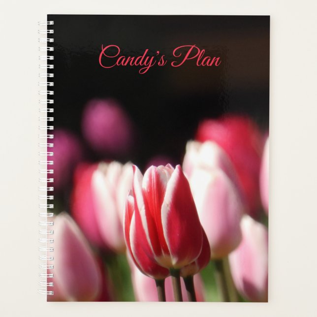 Roter und weißer Tulip Planer (Vorderseite)