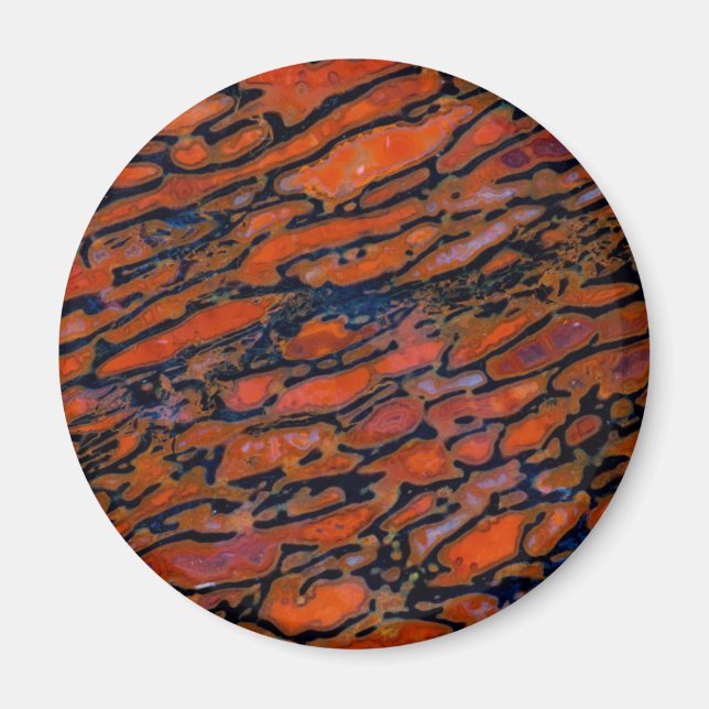 Roter verdünnter Dinosaurierknochen Magnet (Vorne)