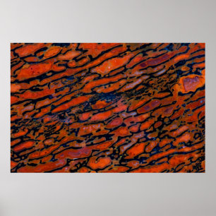 Roter verdünnter Dinosaurierknochen Poster