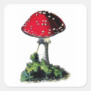 Roter Vintage-Pilz-Druck Quadratischer Aufkleber