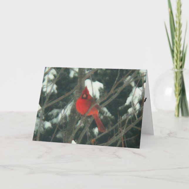 Roter Vogel im Schnee Feiertagskarte (Vorderseite)