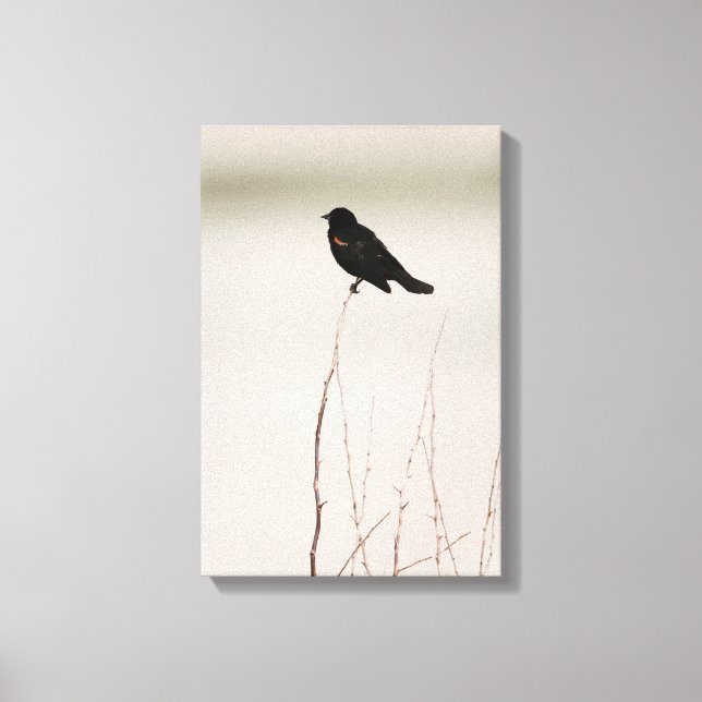 Roter Vogelgezwitscher auf dem Zweig Leinwanddruck (Vorderseite)