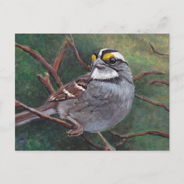 Roter Vogelspinner Postkarte (Vorderseite)