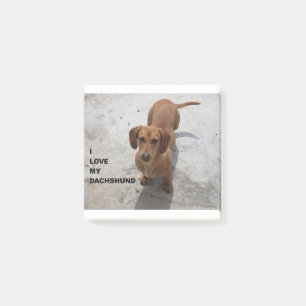 roter voller Liebe w der Dackel pic Post-it Klebezettel