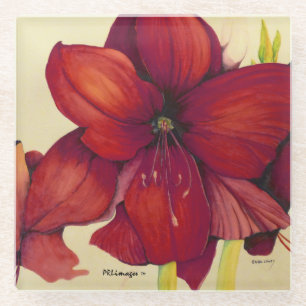 Roter Weihnachtsamaryllis-Glas-Untersetzer Glasuntersetzer