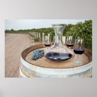Roter Wein im Weingarten Poster