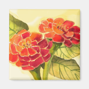 Roter Zinnias-Magnet Magnet