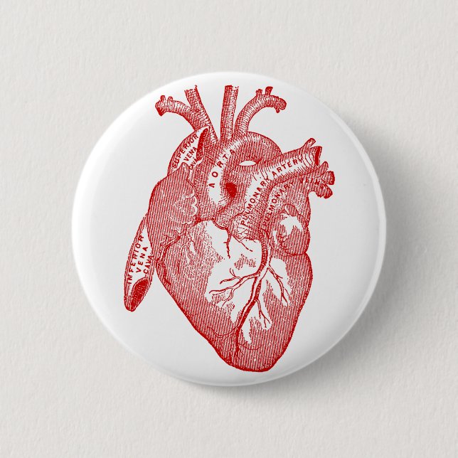 Rotes anatomisches Herz Button (Vorderseite)