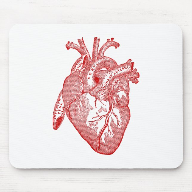 Rotes anatomisches Herz Mousepad (Vorne)