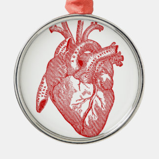 Rotes anatomisches Herz Silbernes Ornament