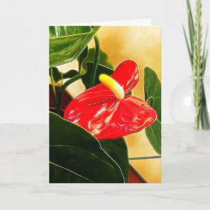 Rotes Anthurium-Blumenfotografie-Template Karte