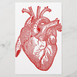 Rotes antikes anatomisches Herz