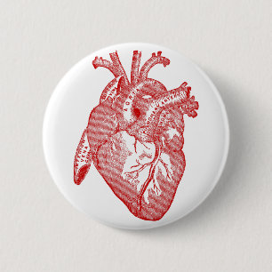 Rotes antikes anatomisches Herz Button