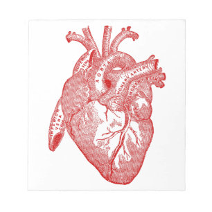 Rotes antikes anatomisches Herz Notizblock
