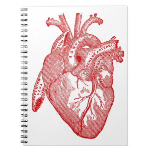 Rotes antikes anatomisches Herz Notizblock
