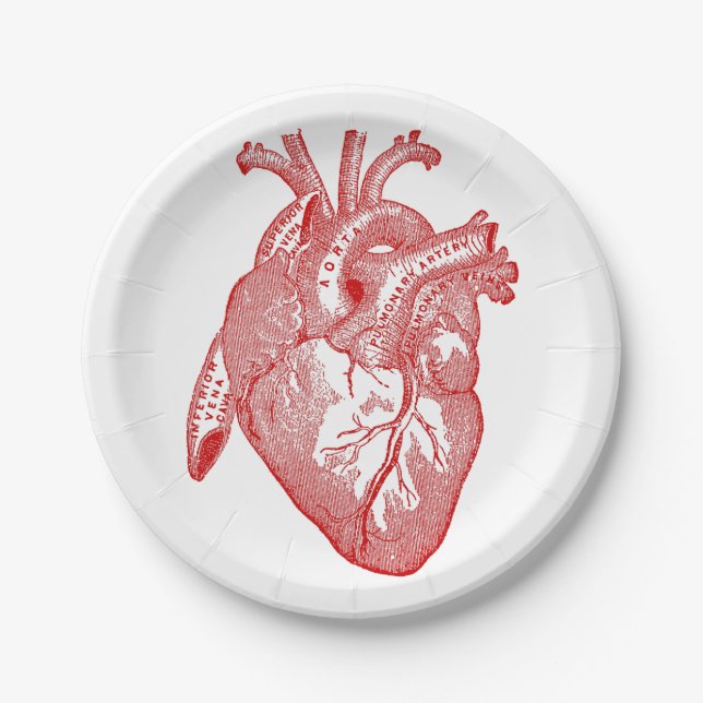 Rotes antikes anatomisches Herz Pappteller (Vorderseite)