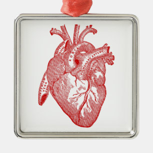 Rotes antikes anatomisches Herz Silbernes Ornament