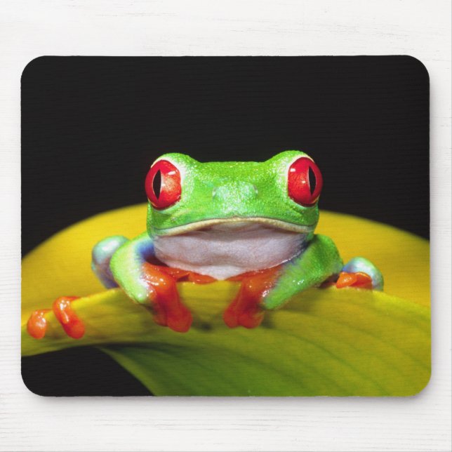 Rotes Auge Treefrog, Agalychinis callidryas, einhe Mousepad (Vorne)