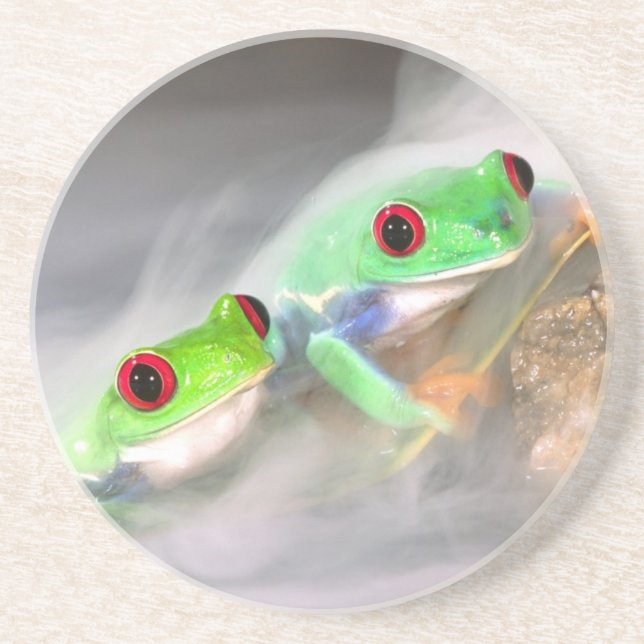 Rotes Auge Treefrog im Nebel, Agalychinis 2 Untersetzer (Vorne)