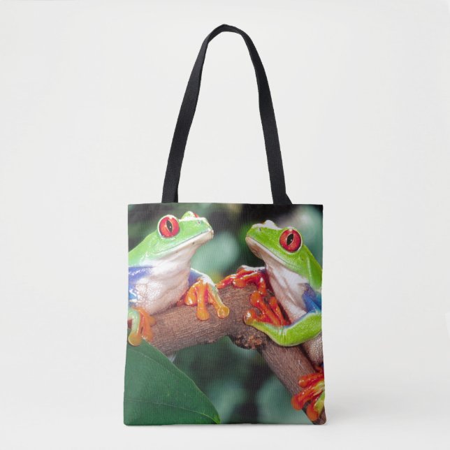 Rotes Auge Treefrog Pair, Agalychinis callidryas (Vorderseite)