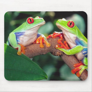 Rotes Auge Treefrog Pair, Agalychinis callidryas Mousepad