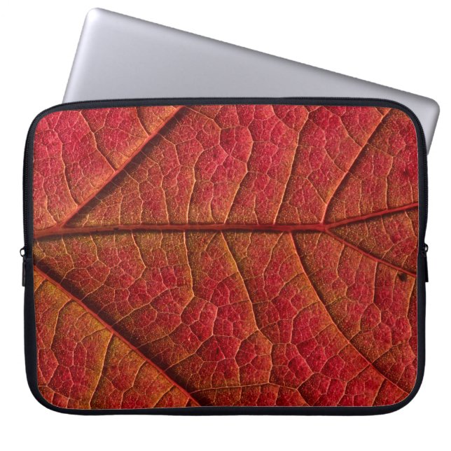 Rotes Blatt Laptopschutzhülle (Vorderseite)
