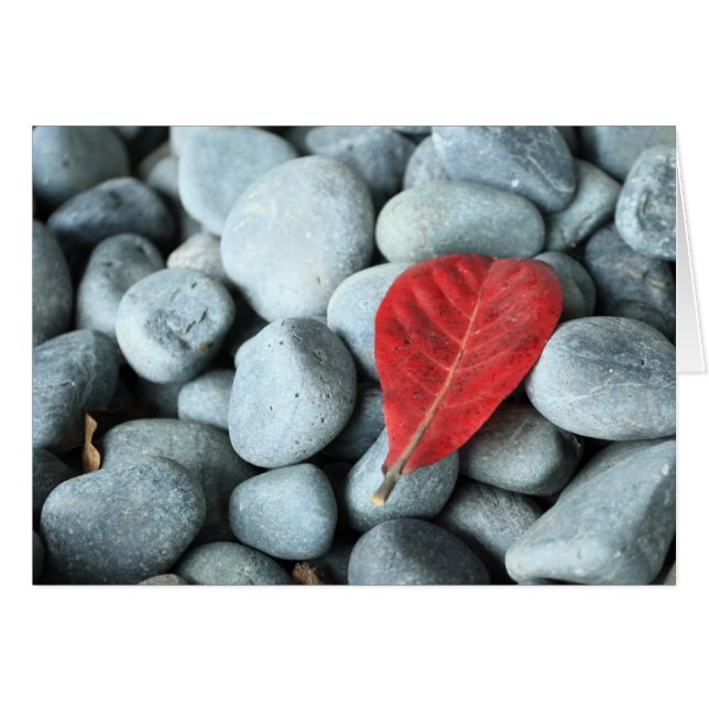 Rotes Blatt und Steine (Vorderseite (Horizontal))
