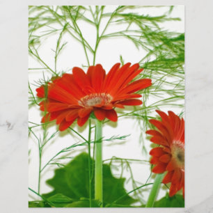 Rotes Blumen