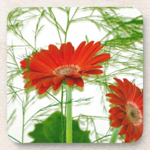 Rotes Blumen Getränkeuntersetzer