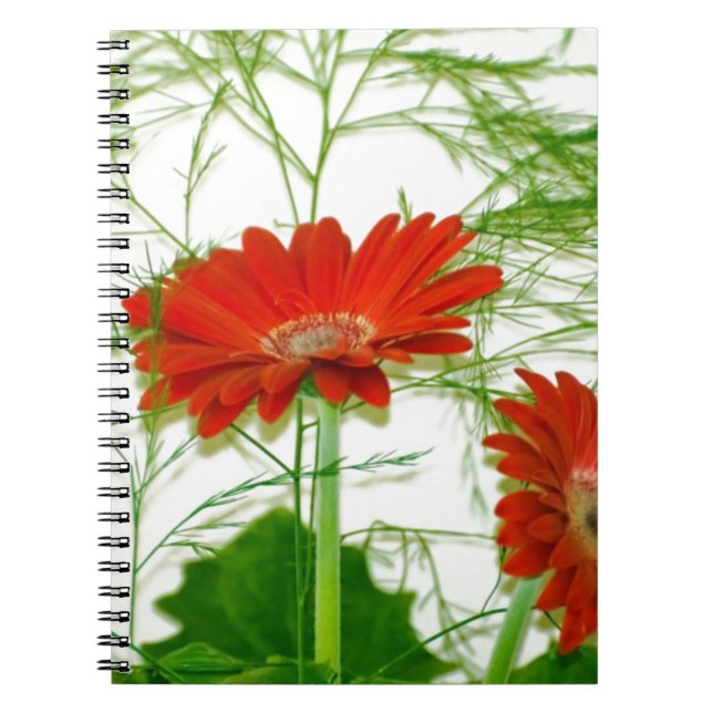 Rotes Blumen Notizblock (Vorderseite)