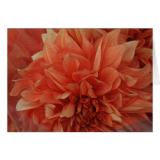 Rotes Blumenkarte *Blank