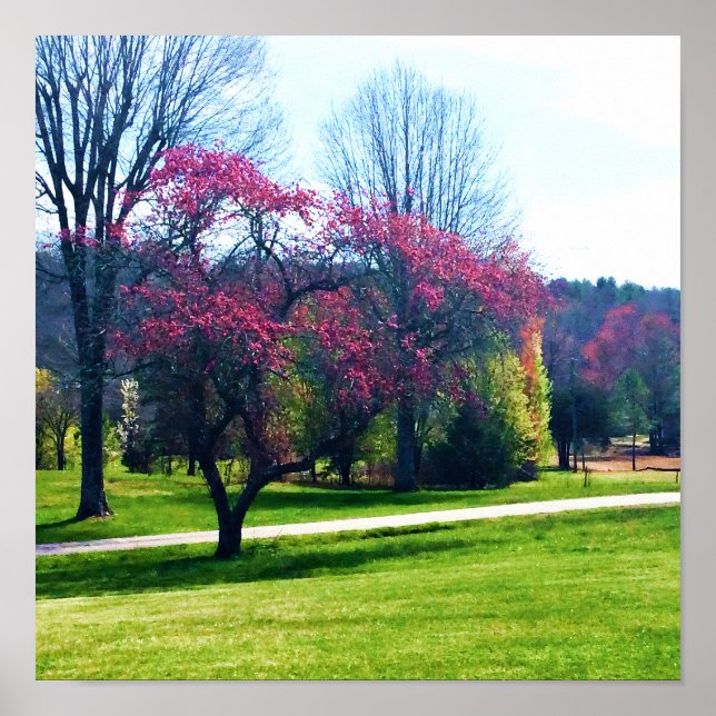 Rotes Blütenpflaster Poster (Vorne)