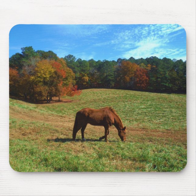 Rotes braunes Pferd, Bäume fallen, blauer Himmel Mousepad (Vorne)