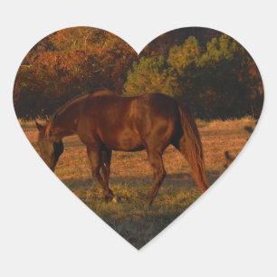 Rotes braunes Pferd, Herbstwald. Herz-Aufkleber