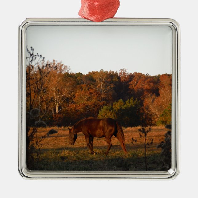 Rotes braunes Pferd, Herbstwald. Ornament Aus Metall (Vorne)