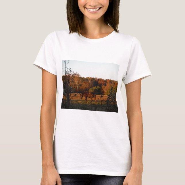 Rotes braunes Pferd, Herbstwald. T-Shirt (Vorderseite)