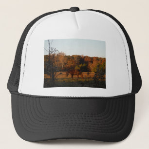Rotes braunes Pferd, Herbstwald. Truckerkappe