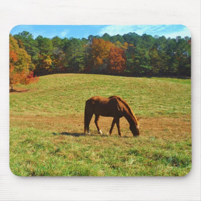 Rotes Braunes Pferd im Herbst Mousepad (Vorne)
