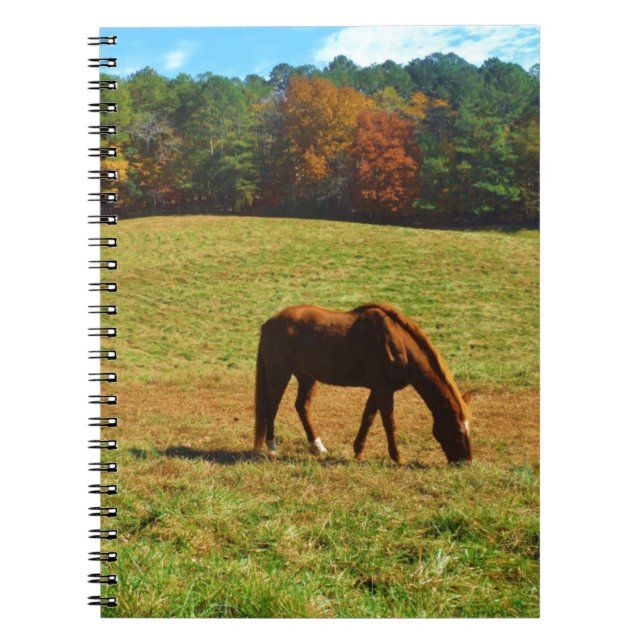 Rotes Braunes Pferd im Herbst Notizblock (Vorderseite)