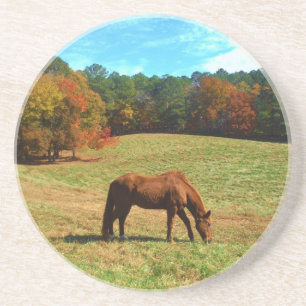 Rotes Brot, Aquamariner Blauhimmel Getränkeuntersetzer