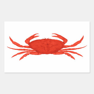 Rotes Dungeness Krabben-Logo Rechteckiger Aufkleber