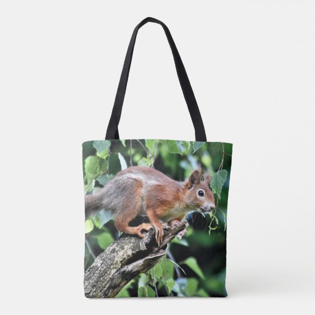 Rotes Eichhörnchen (Rückseite)
