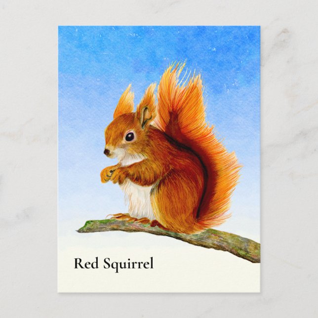 Rotes Eichhörnchen Aquarellmalerei Postkarte (Vorderseite)