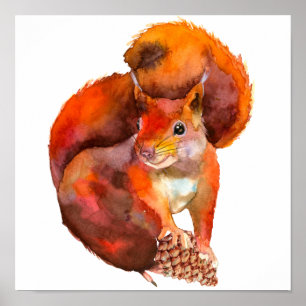 Rotes Eichhörnchen auf Warnung Poster