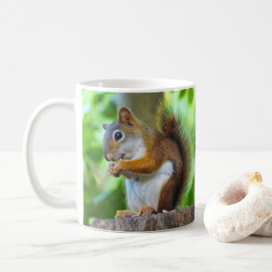 Rotes Eichhörnchen Kaffeetasse